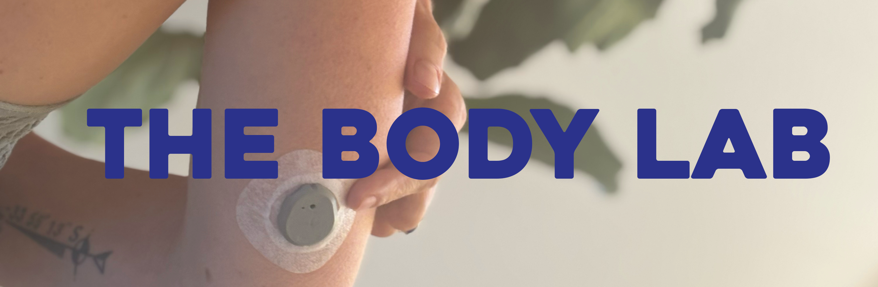 The Body Lab: What Happens When We Eat?