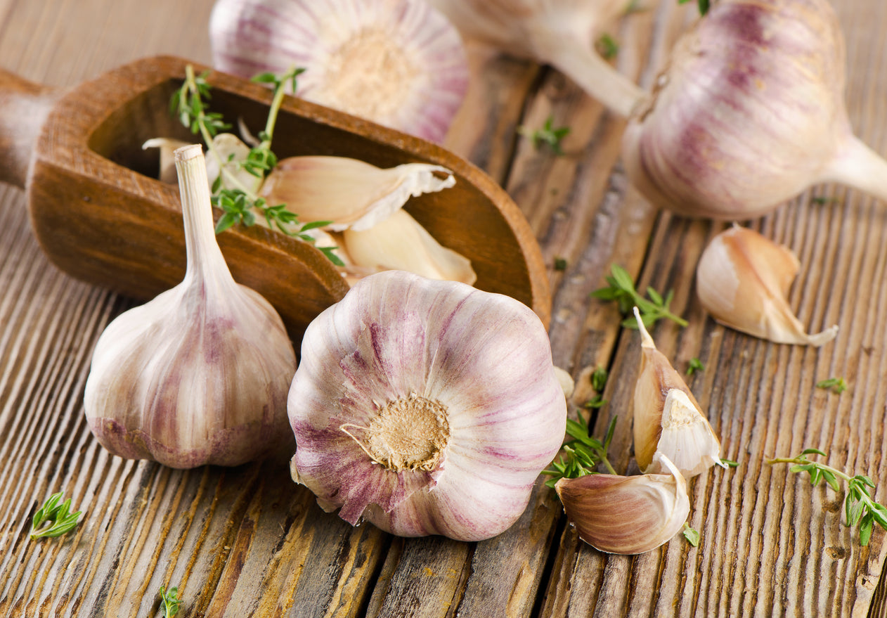 The Garlicky Goodness Bundle