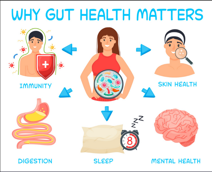 Prebiotics to Improve Gut Health: Plantiful Kitchen’s Guide to Healthier Digestion